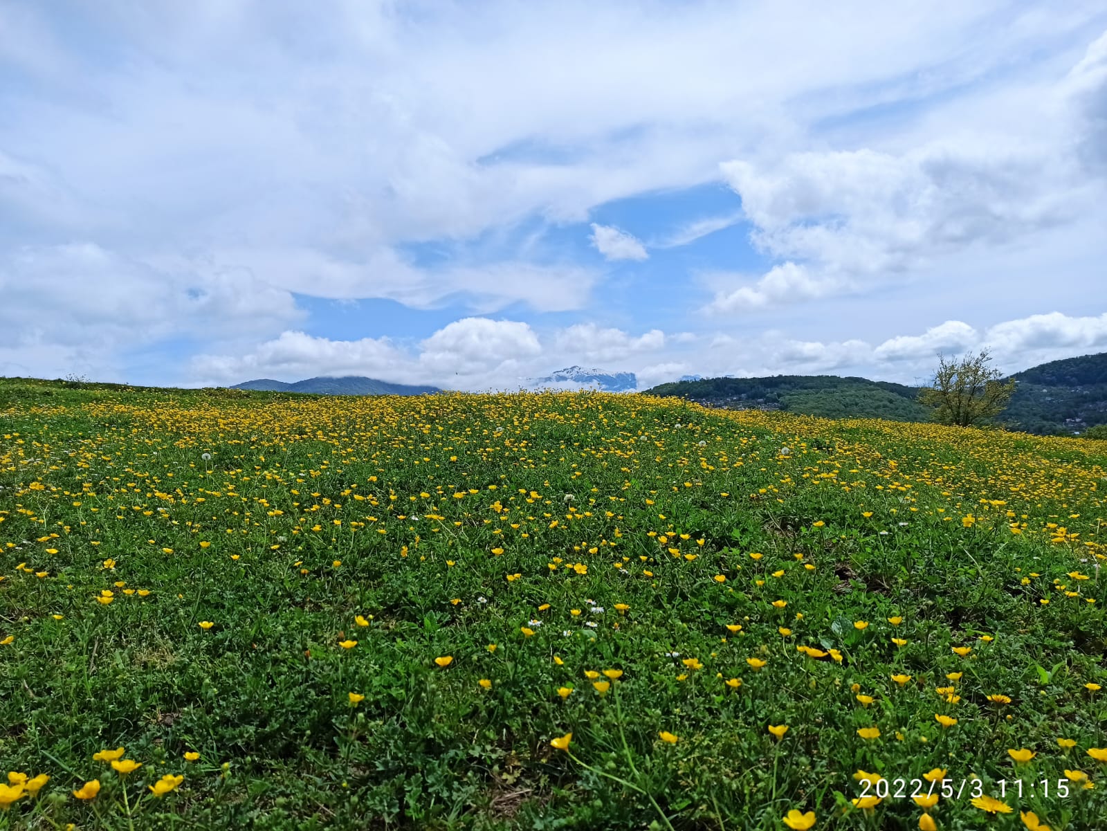 Виды Конные прогулки Сухой Каньон Красная полянаWhatsApp Image 2022-11-23 at 08.54.34 (2) Виды конные прогулки Сухой Каньон Красная поляна