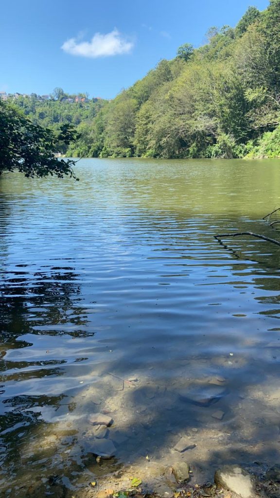 На лошадях на Змейковские водопады На лошадях на Змейковские водопады