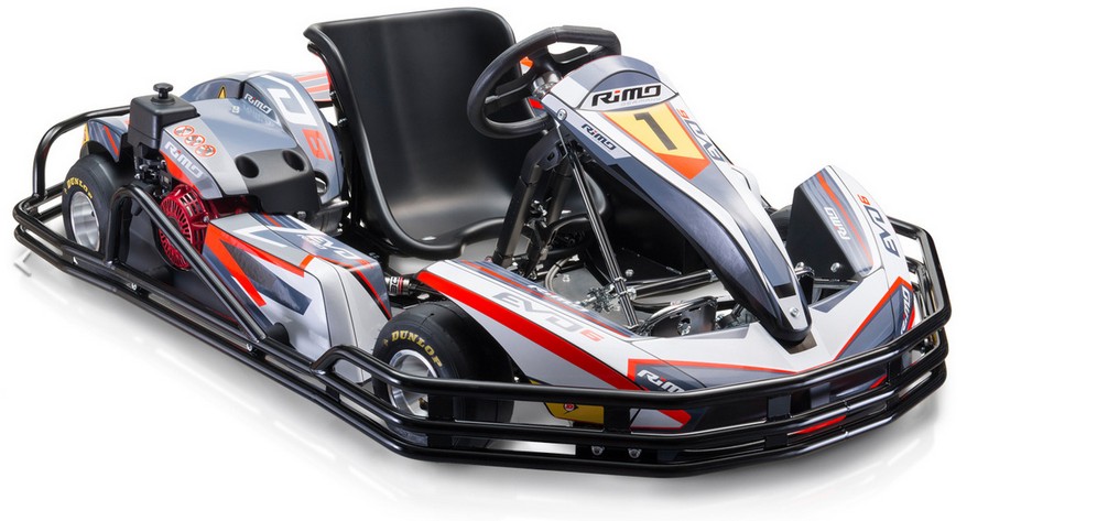 Карт Римо karting1