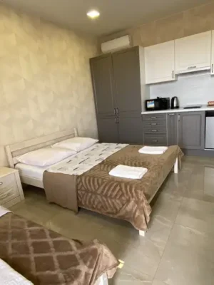 Студия 3х местный с кухней