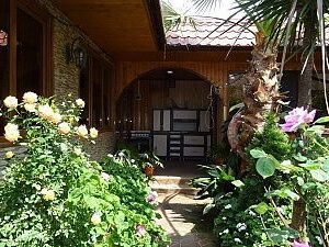 "Пальма" мини-гостиница в Адлере (Имеретинская бухта)