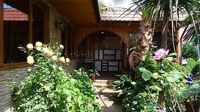 "Пальма" мини-гостиница в Адлере (Имеретинская бухта)