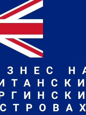 БВО открытие бизнеса