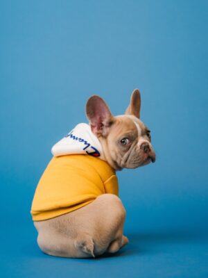 Установка камер для поиска